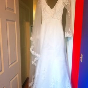 Wedding Dress with vail